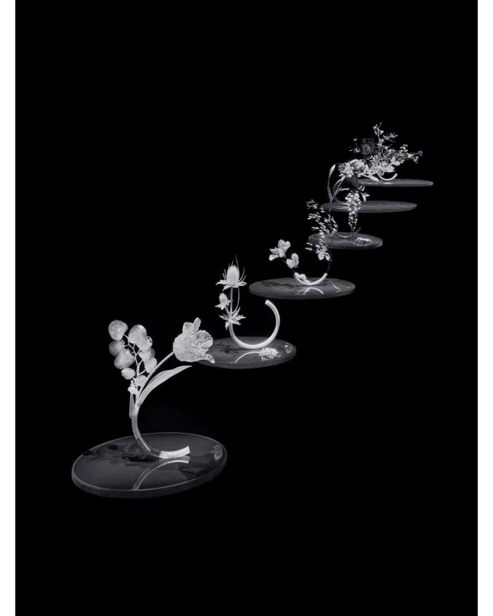 The full 6 sets of compositions from the Boucheron Carte Blance Impermanence high jewellery collection