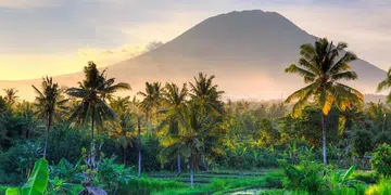 Bali