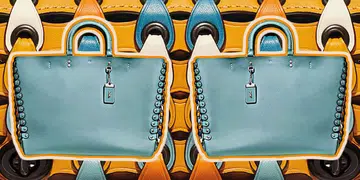 coach pre-fall 2017