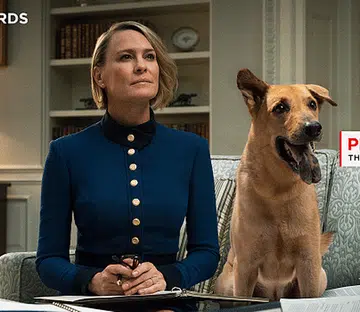 Netflix Singapore Save Our Street Dogs Singapore SOSD Adoption Drive