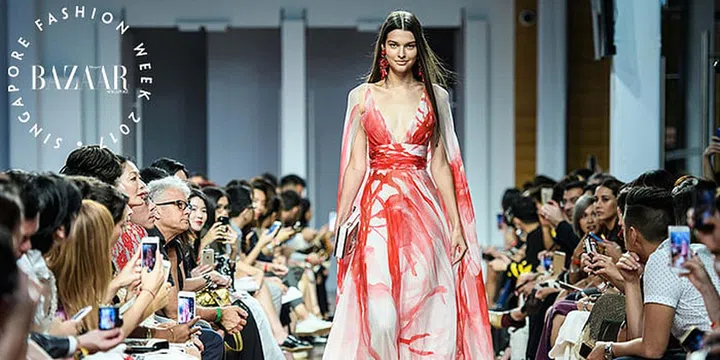 sgfw 2017