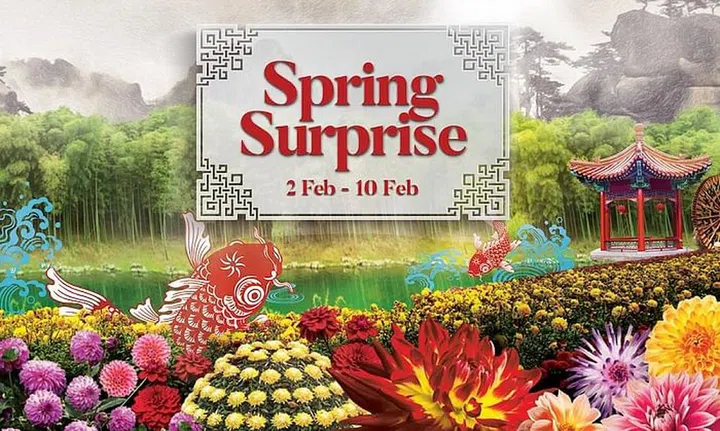 Usher in the Year of the Pig this month with Spring Surprise, a festive carnival that will be held at Gardens by the Bay. This nine-day long event includes various activities such as an LED performance of an auspicious Chinese myth titled Carps Leaping Over the Dragon’s Gate, lion dance acts by an award-winning local lion dance troupe and Spring Street — a festive bazaar that retails Chinese New Year related souvenirs, crafts and artisan handmade accessories. Programmes are free for everyone, however admission charge to the Flower Dome still applies for activities happening in there. Photo: Gardens by the Bay