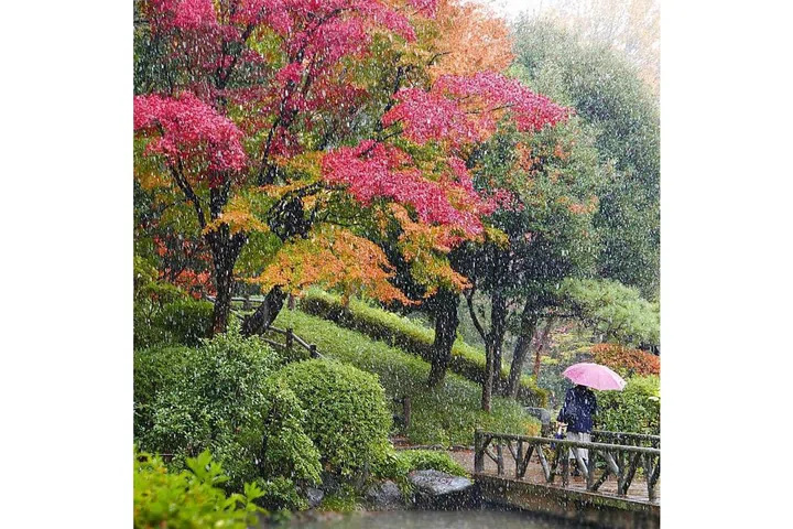 Photo: Instagram/inariku