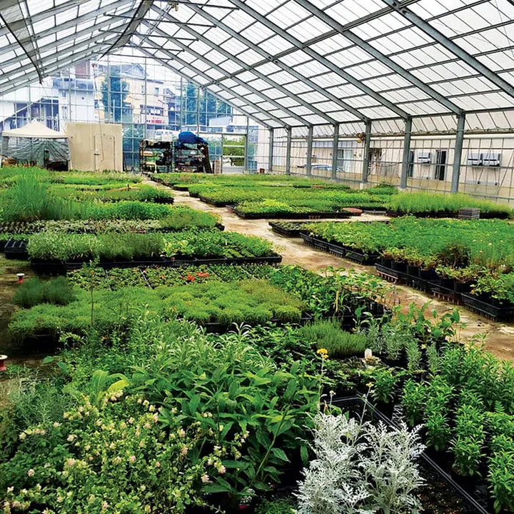 Work up an appetite with a stroll through the indoor garden beside Apron Café.