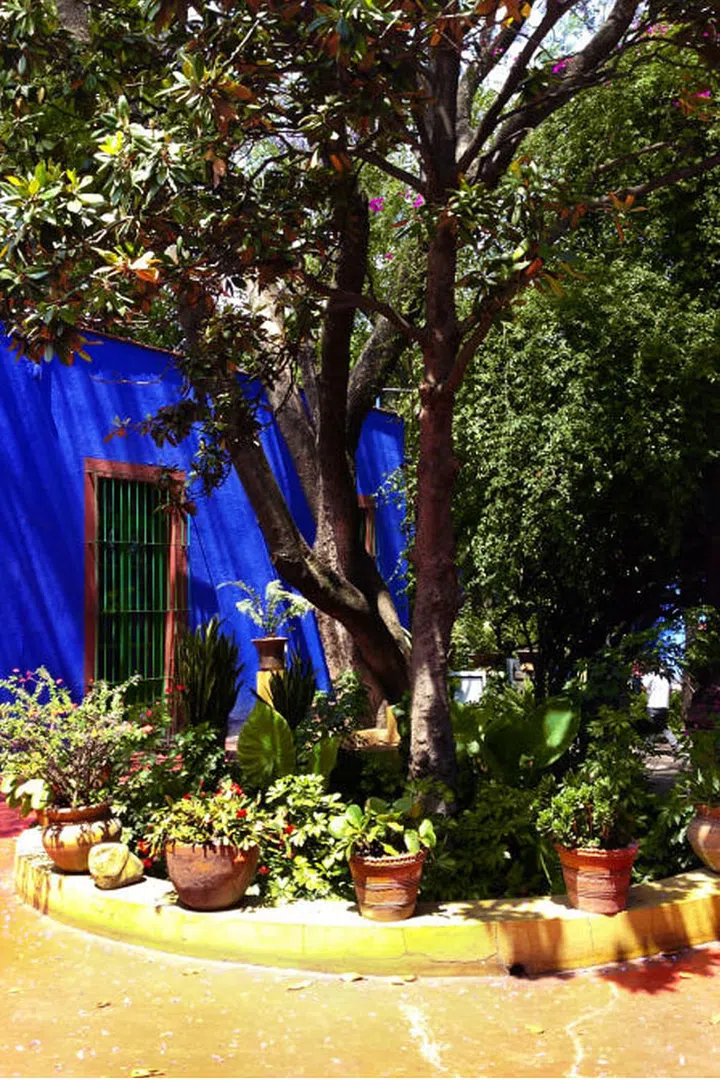 Frida Kahlo was born and died in this beautiful adobe house in the Coyoacán neighborhood of Mexico City. Now a museum, the structure contains works by Kahlo and her husband Diego Rivera and their contemporaries, as well as items owned by the couple during their lifetimes. Photo: Getty
