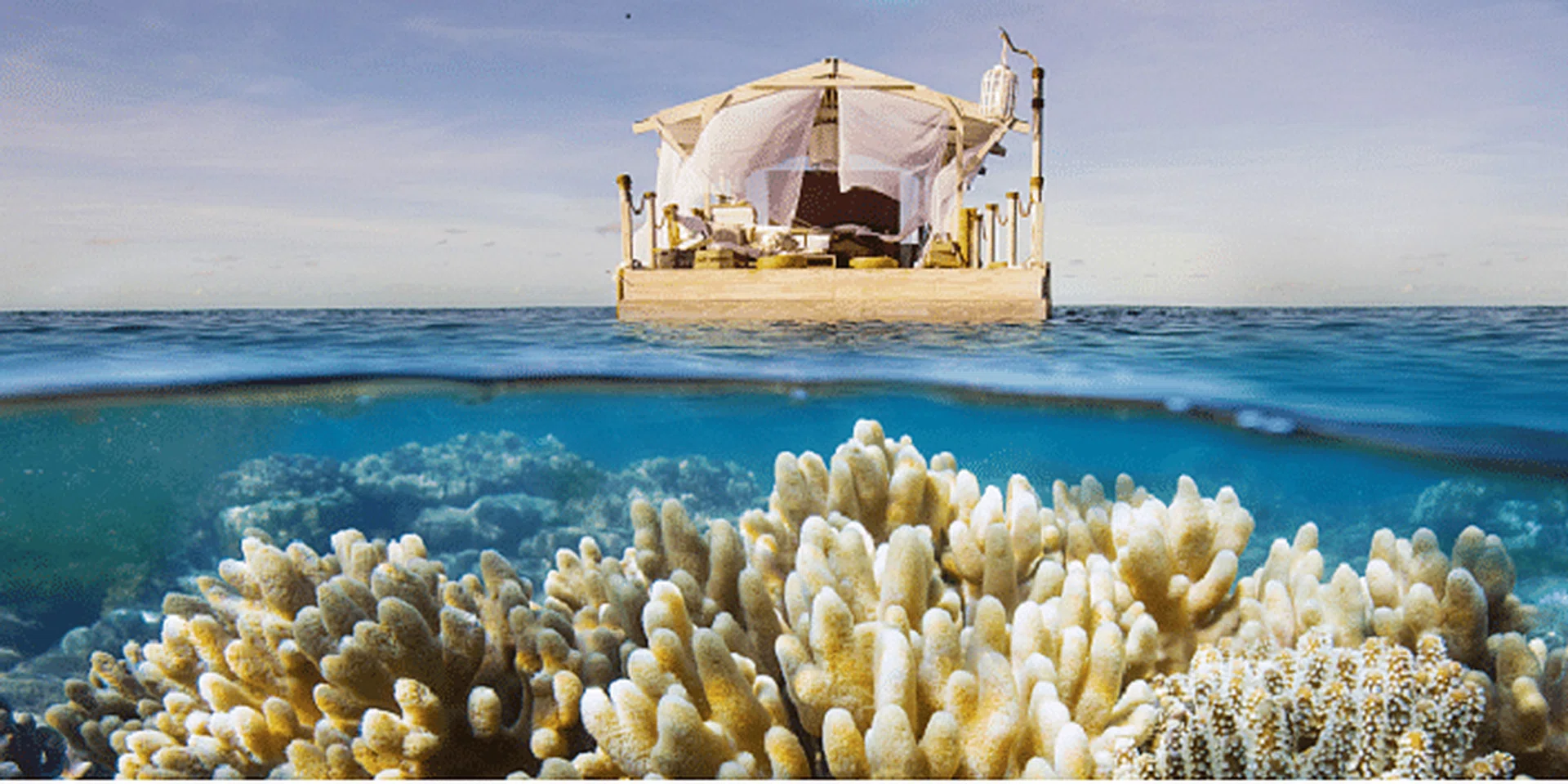 airbnb great barrier reef