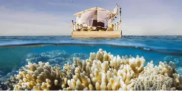 airbnb great barrier reef