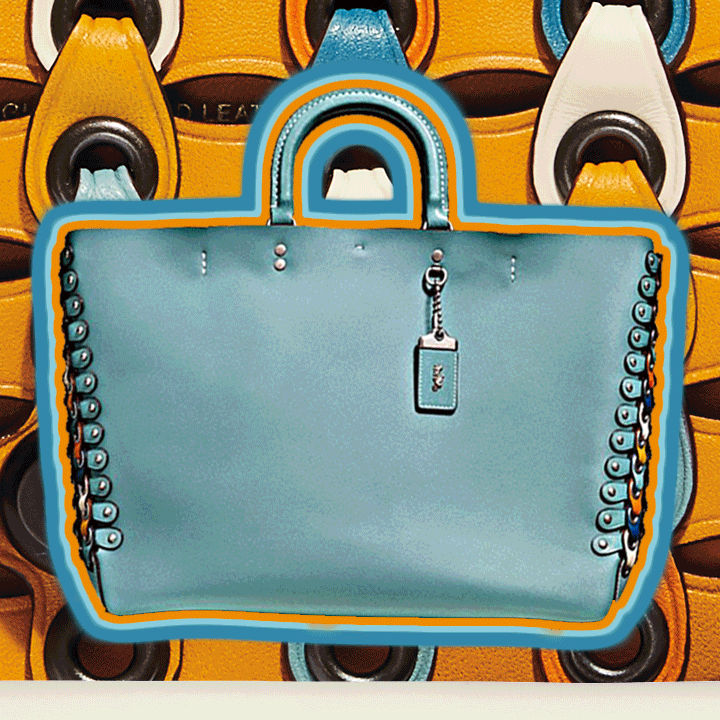 coach pre-fall 2017