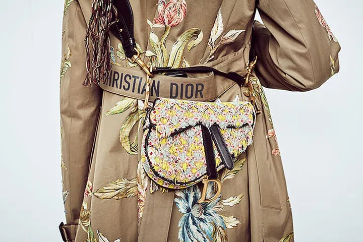 dior saddle bag