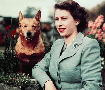 Queen Elizabeth