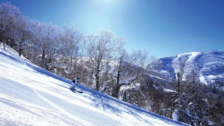 Kiroro Peak - Ski