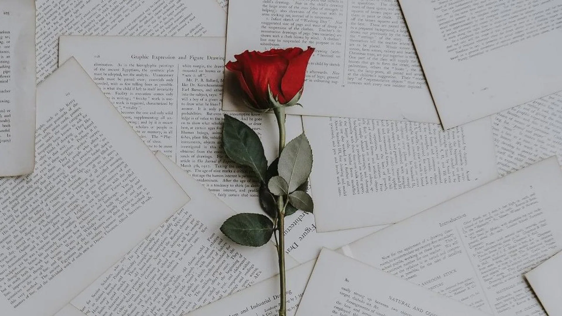 V-Day Gifting