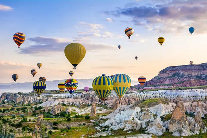 Photo: Shutterstock
