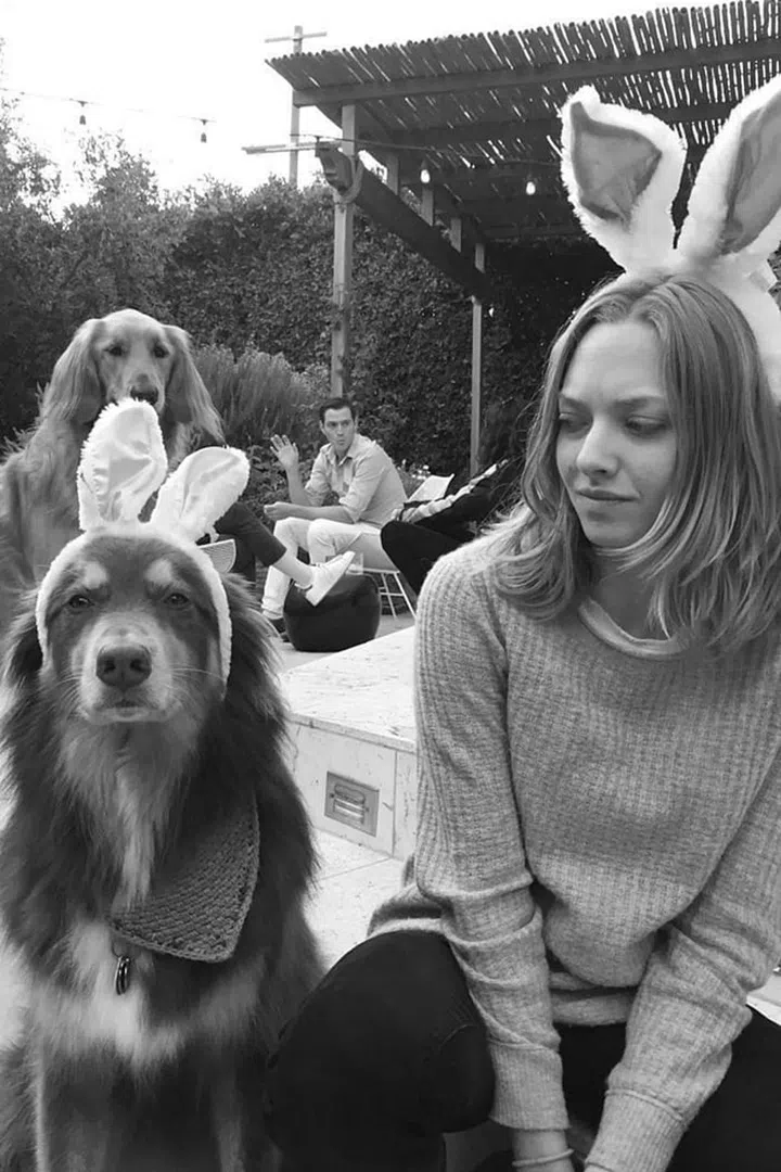 A rescue dog adopted in 2009, Amanda Seyfried's Australian Shepherd is always by her side, whether they're grabbing tea or paddle-boarding on vacation. Follow him @finnsite, where he has 16.3k fans. Photo: Instagram