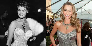 Sofia Vergara