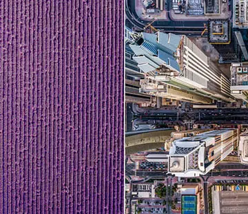 Best Drone Photos 2017