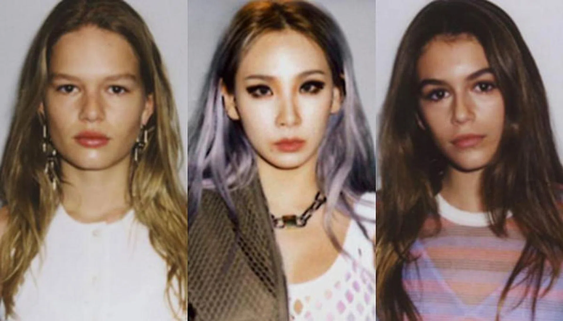 alexander wang wangsquad