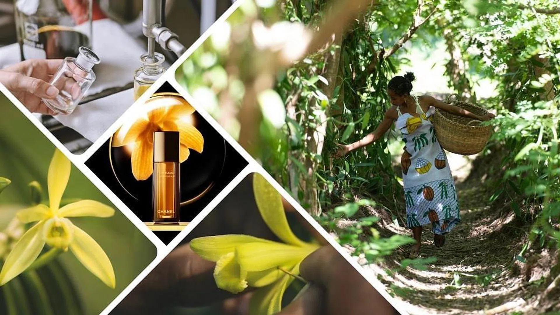 This Rare Orchid Is The Secret To Chanel's Sublimage Skincare