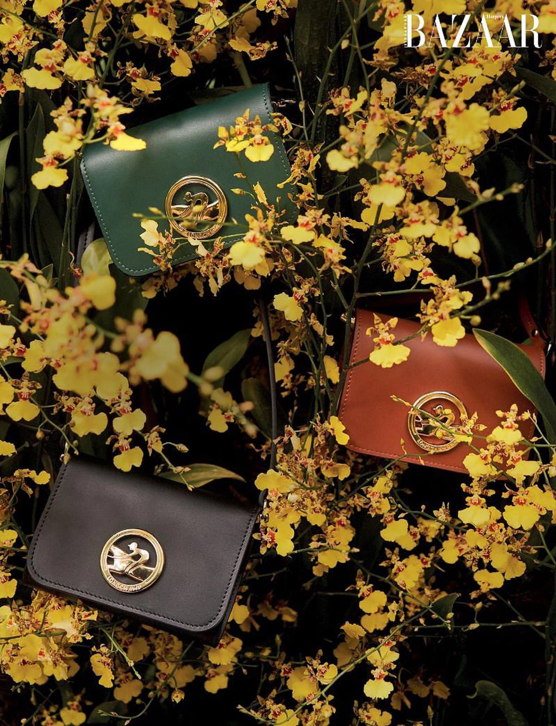 Box-Trot coin purses with shoulder straps, Longchamp