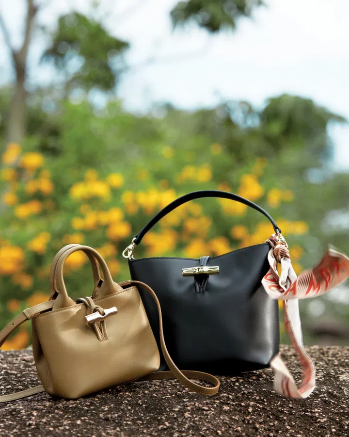 Longchamp Le Roseau bag