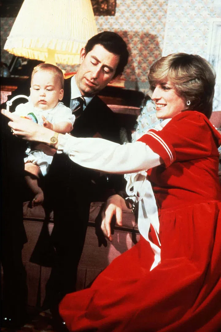 Princess Diana wore a festive red velvet dress in this portrait with Prince Charles, and the infant Prince William.