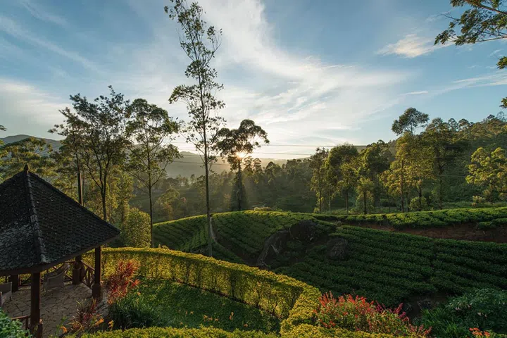 Perched at an altitude of 1250 feet, this hotel consists of five restored, colonial-era tea planters' bungalows, connected by walking trails. If the striking landscape or high tea doesn't do it for you, the mountain biking and white water rafting might.