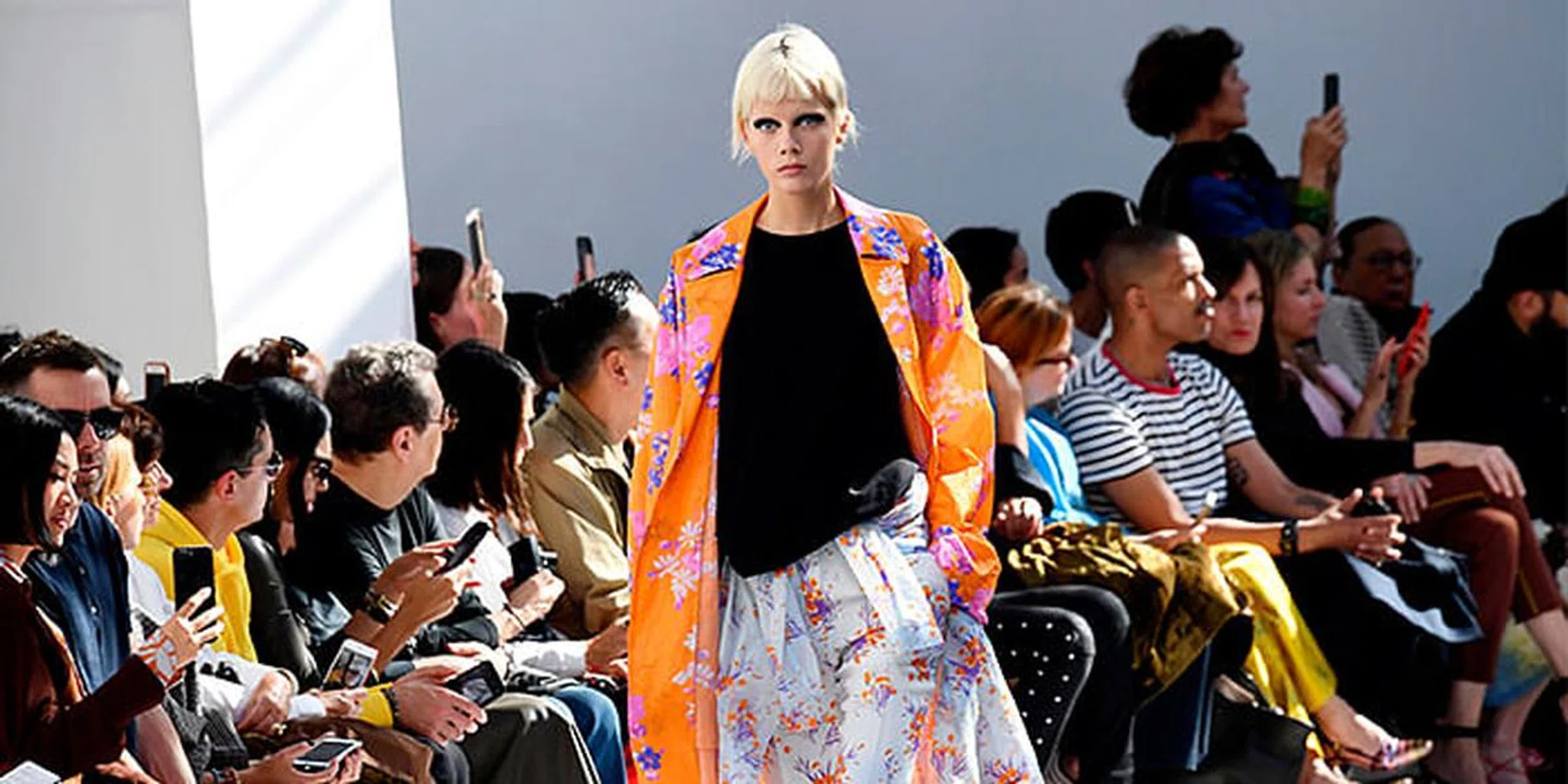 dries van noten