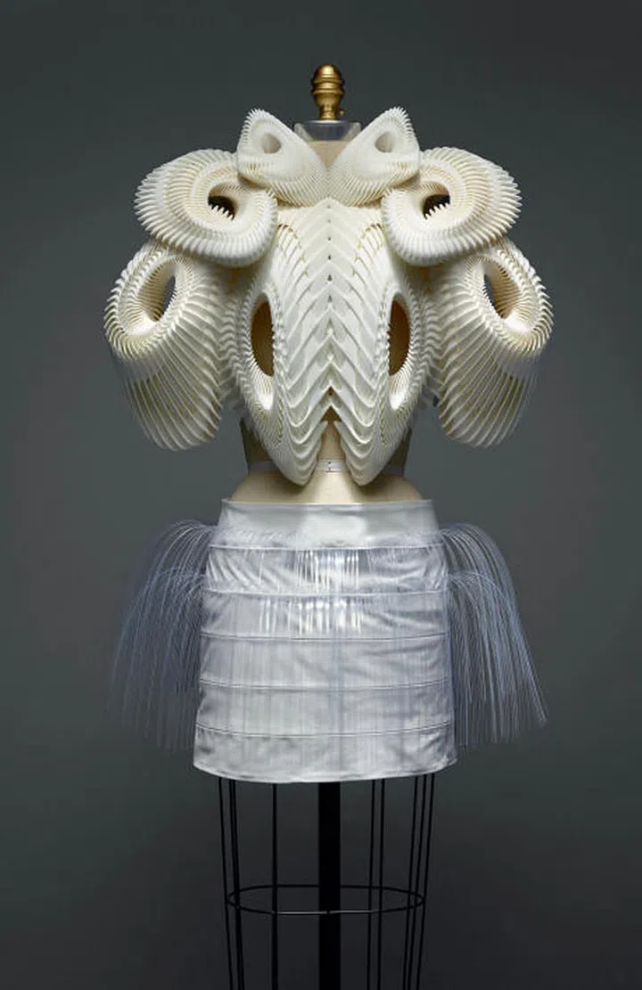 Ensemble, Iris van Herpen (Dutch, born 1984), spring/summer 2010 haute couture; The Metropolitan Museum of Art, Purchase, Friends of the Costume Institute Gifts, 2015 (2016.16a, b). Photo: Nicholas Alan Cope 