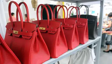 birkin bag more valuable than stocks