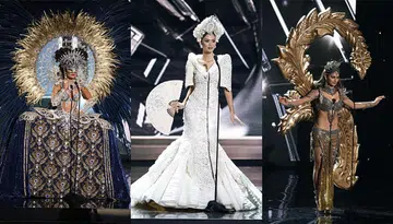 miss universe 2015