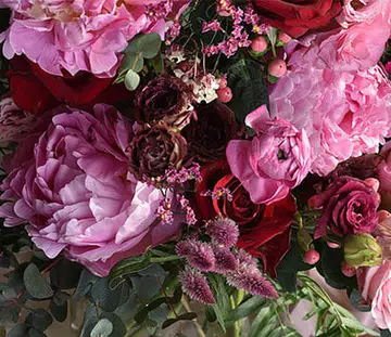 Charlotte-Puxley-feature-image