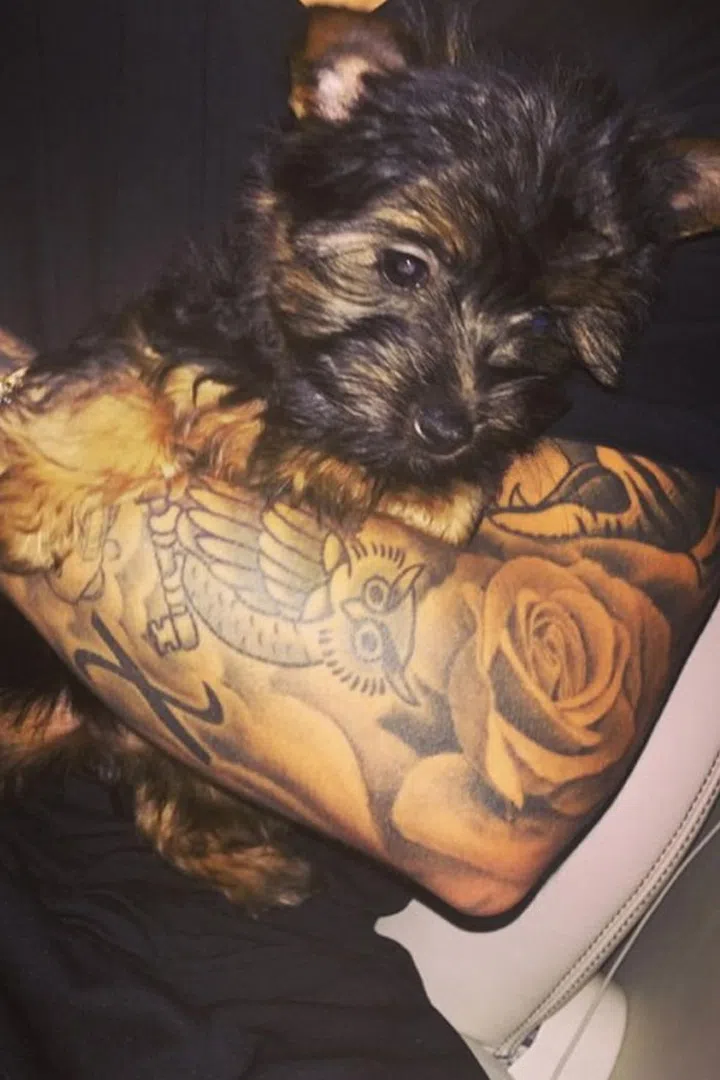 Justin Bieber's dog Esther is the epitome of cute. When she's not hanging out backstage or sitting in on radio shows you can find her frolicking in the park. Catch all of her adventures on her Instagram page @estherthecutie.
Photo: Instagram