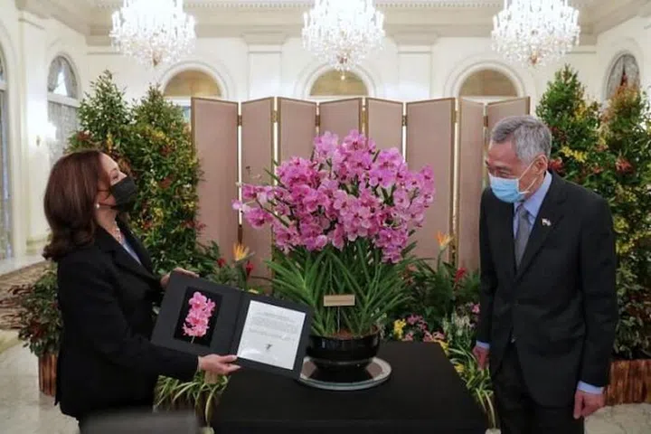 Kamala Harris presented with the Papilionanda Kamala Harris, by Prime Minister Lee Hsien Loong. (Photo: Kevin Lim/The Straits Times)