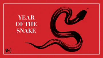 year of the snake 2025 chinese horoscope predictions