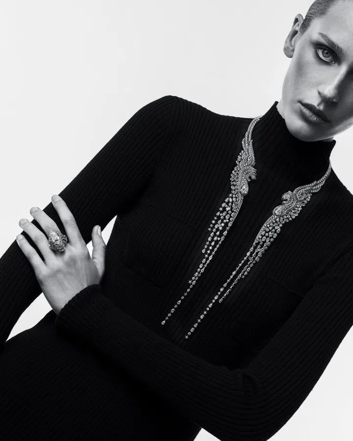 chanel reach for the stars embrace your destiny on model