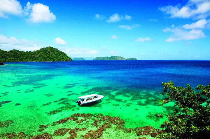 SB1014_Life_Escapes_29. Activity - Diving and Snorkeling