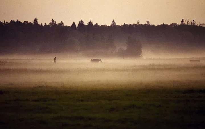 Białowieża Forest contains nearly 548 miles of centuries-old wilderness that's been completely undisturbed by humans. The forest also holds a mystical landscape of meadows and river valleys, and is home to large populations of wolves, lynxes and otters.