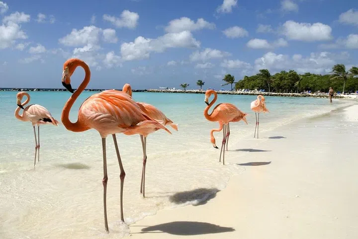 While many tropical islands are at the mercy of the weather, Aruba is special in that it’s out of the hurricane zone altogether — so a sunny honeymoon is almost guaranteed, no matter what time of year you get married. Stay at the Hyatt Regency Aruba Resort Spa and Casino, where you can relax in a reserved private hut on the white sand beach. You’re also close to the main shopping district if you want a little more action. Photo: Getty 