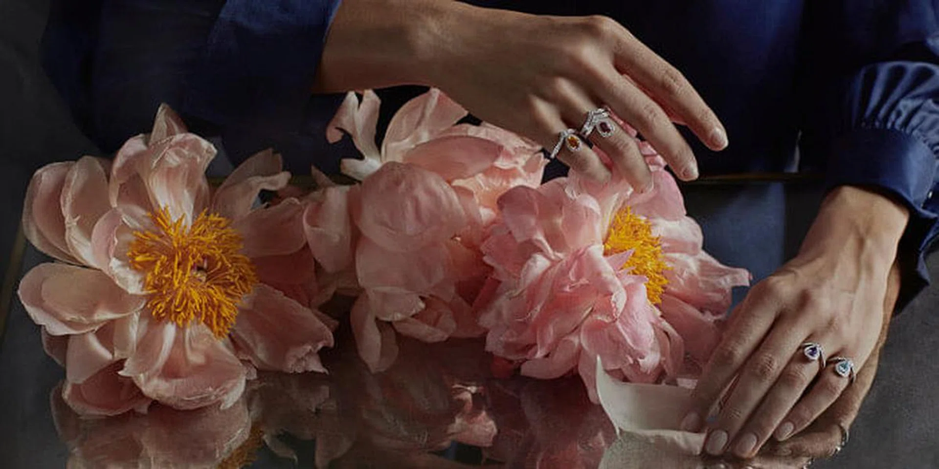 Chaumet Joséphine Aigrette rings 2018
