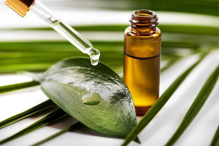 Tea-Tree-Oil-Guide