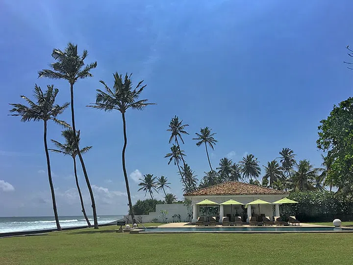 tanamera