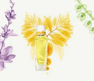 Discover French perfumer Mathilde Laurent's Love Letter To Nature- Cartier - Featured