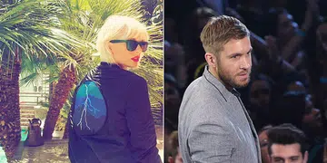 Taylor Swift Actually Did Write "This Is What You Came For"