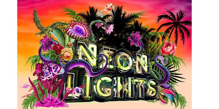 Photo: Neon Light’s website

