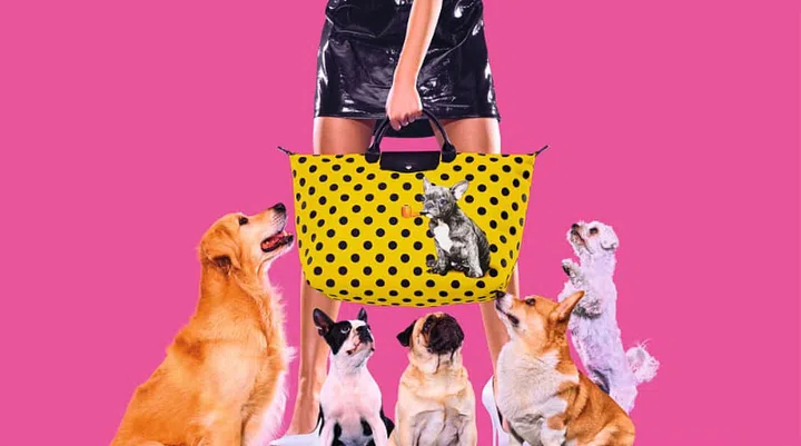 Photo: Longchamp