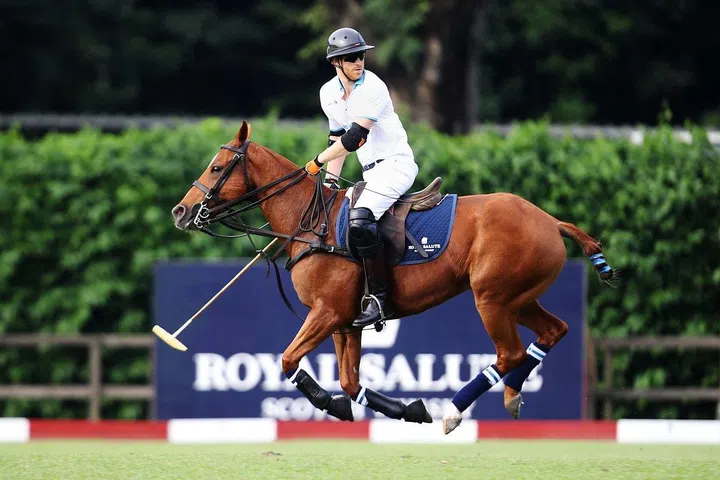 Photo: Sentebale Royal Salute