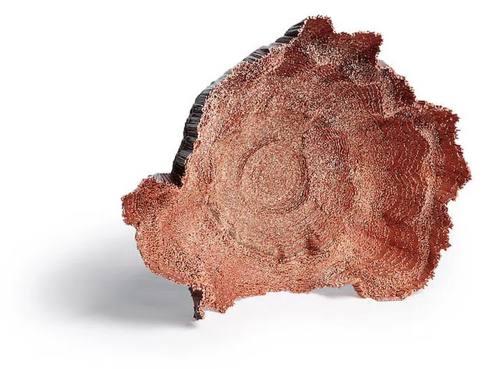 Desértico II, a copper wire and resin work by David Corvalán from Chile, earned a Special Mention. (Photo: LOEWE)