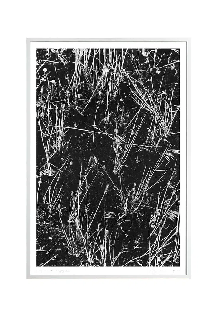 You can snag limited-edition prints off a variety of websites (art.com, artstar.com, saturdaysnyc.com, etc.) or grab something at the thrift store or flea market then send it off to framebridge.com who will handle the custom framing and matting. The internet is your friend, you millennial, you. 

Limited Edition Renato Grass Print, $100; saturdaysnyc.com