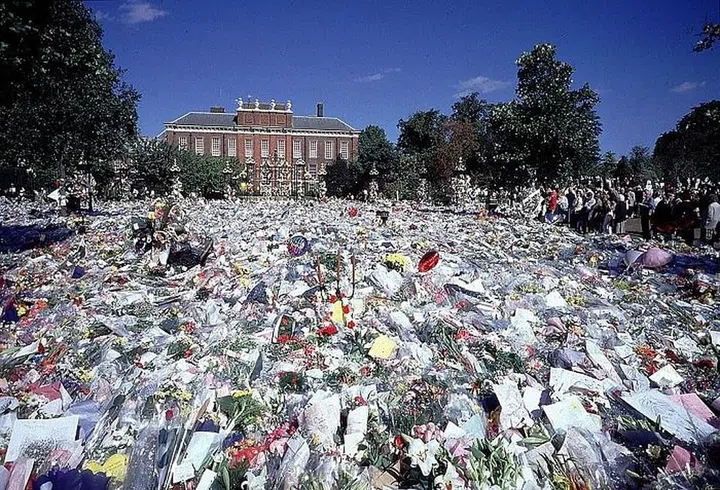 Photo: Getty 