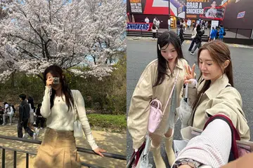 seoul guide | things to do in seoul | cherry blossom season south korea